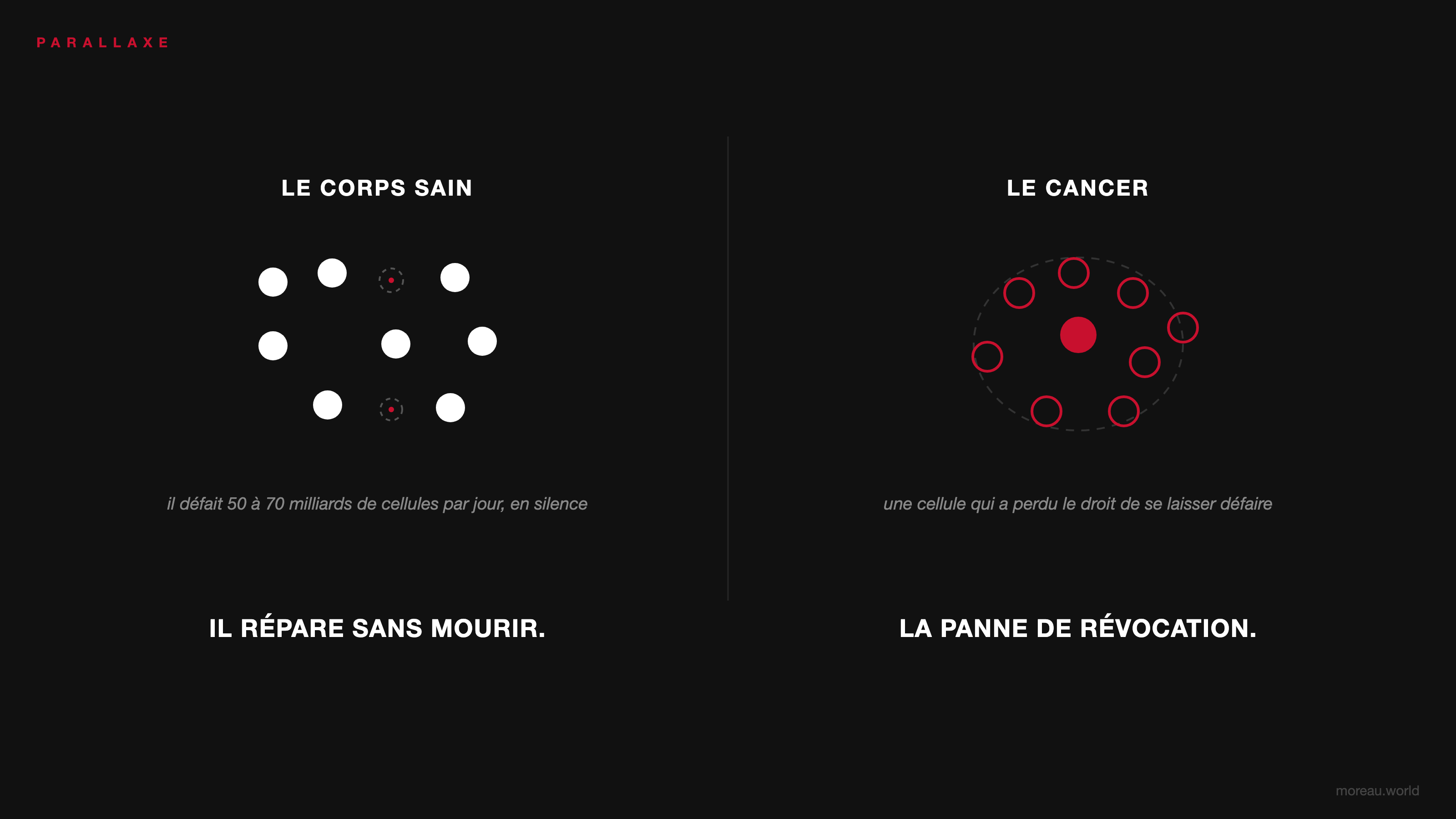 Le corps sain défait 50 à 70 milliards de cellules par jour, en silence. Le cancer, c'est la panne de révocation.